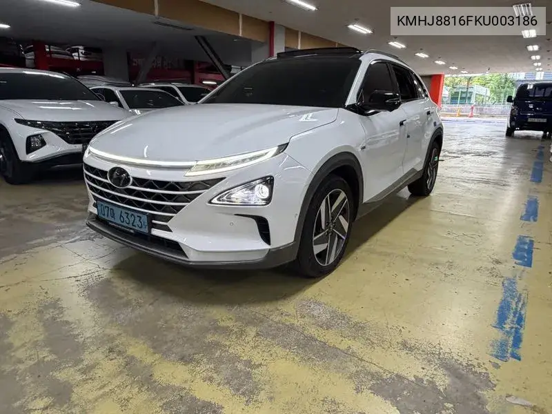 HYUNDAI NEXO 2019, VIN KMHJ8816FKU003186