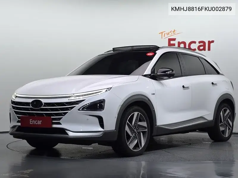 HYUNDAI NEXO 2019, VIN KMHJ8816FKU002879