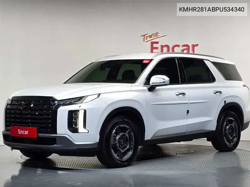 HYUNDAI PALISADE 2022, VIN KMHR281ABPU534340