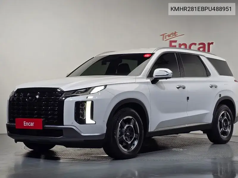 HYUNDAI PALISADE 2022, VIN KMHR281EBPU488951