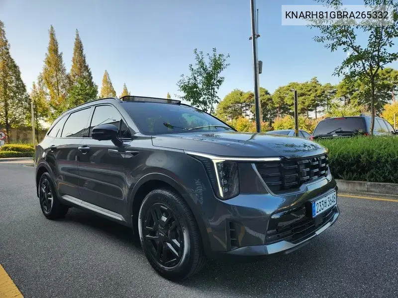KIA N/A 2024, VIN KNARH81GBRA265332