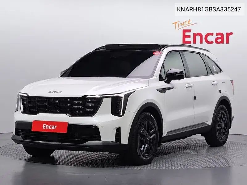 KIA N/A 2024, VIN KNARH81GBSA335247