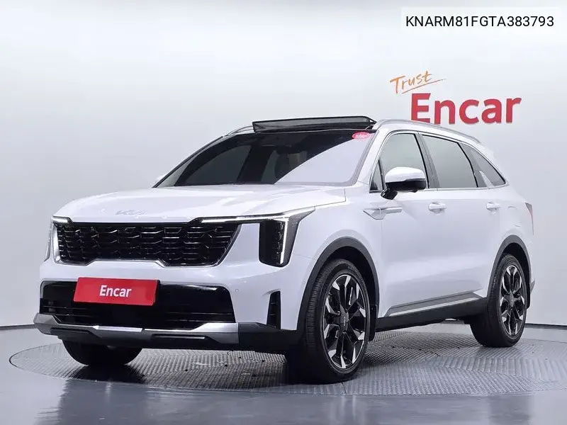KIA N/A 2025, VIN KNARM81FGTA383793