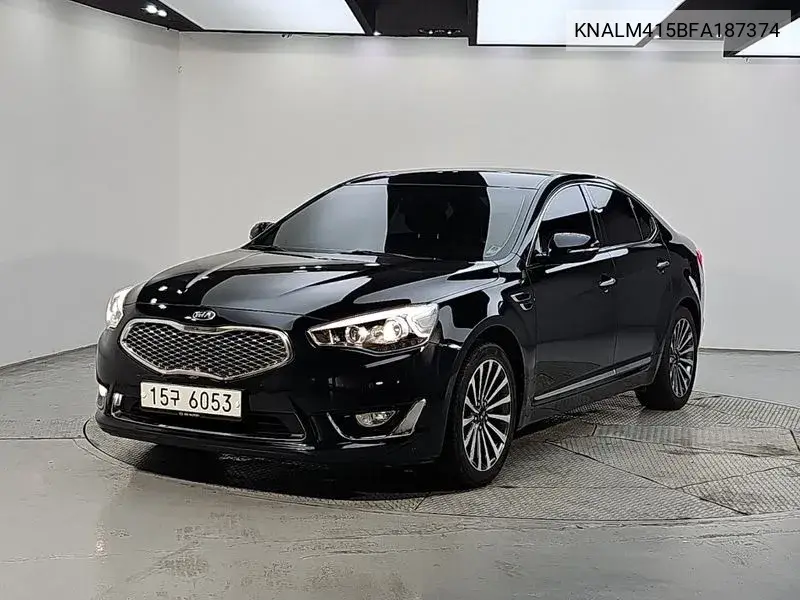 KIA CADENZA 2014, VIN KNALM415BFA187374