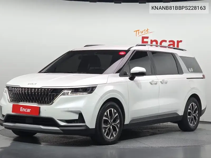 KIA CARNIVAL 2022, VIN KNANB81BBPS228163