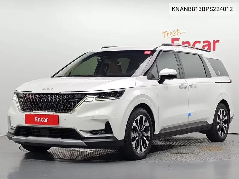 KIA CARNIVAL 2022, VIN KNANB813BPS224012