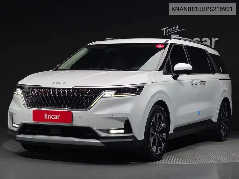 KIA CARNIVAL 2022, VIN KNANB81BBPS215931