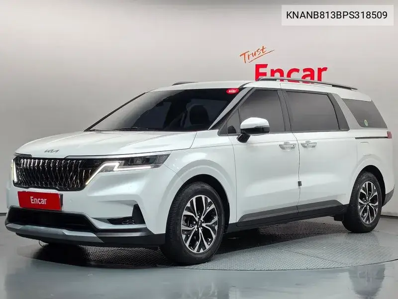 KIA CARNIVAL 2023, VIN KNANB813BPS318509
