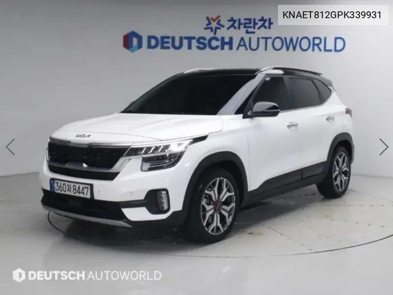 KIA SELTOS 2022, VIN KNAET812GPK339931