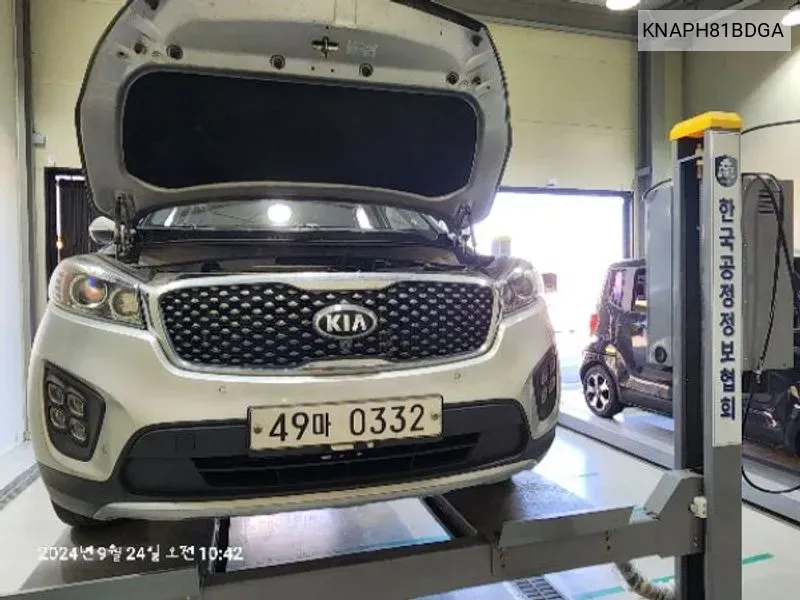  Sorento