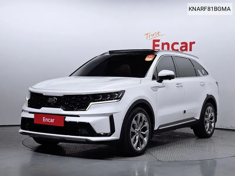  Sorento