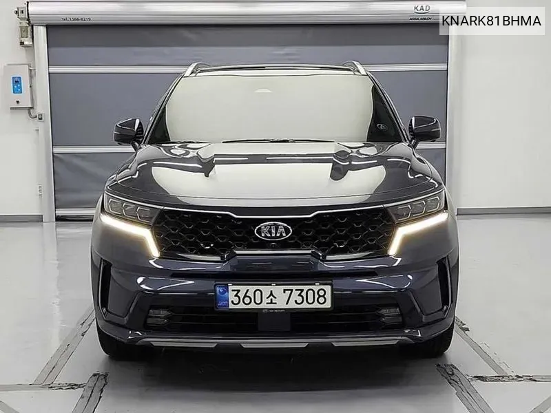  Sorento