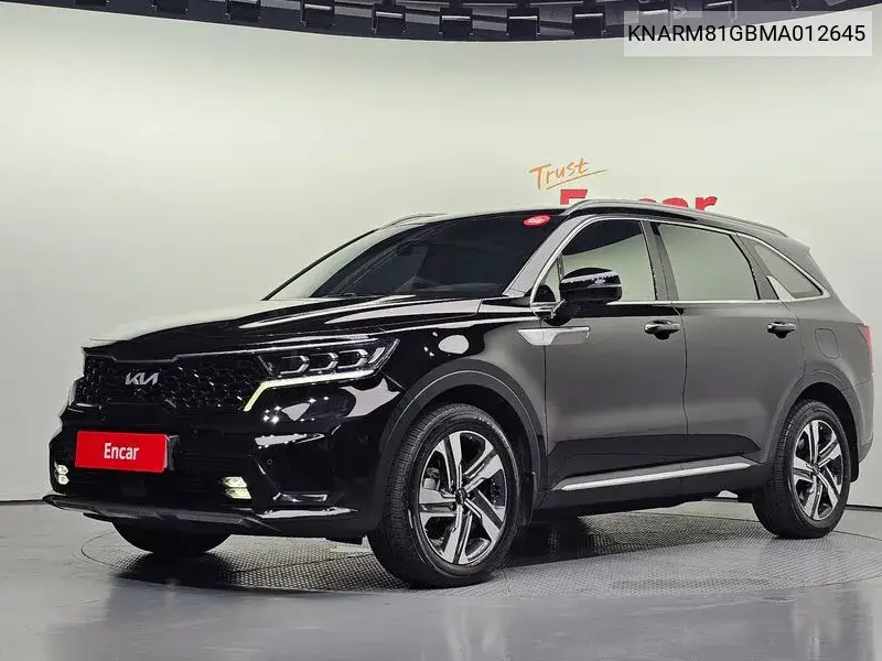 KIA SORENTO 2020, VIN KNARM81GBMA012645