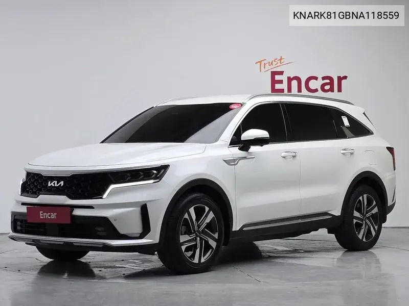 KIA SORENTO 2022, VIN KNARK81GBNA118559