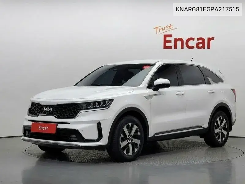 KIA SORENTO 2023, VIN KNARG81FGPA217515