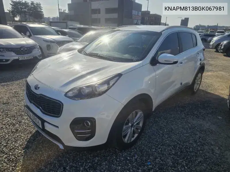 KIA SPORTAGE 2016, VIN KNAPM813BGK067981