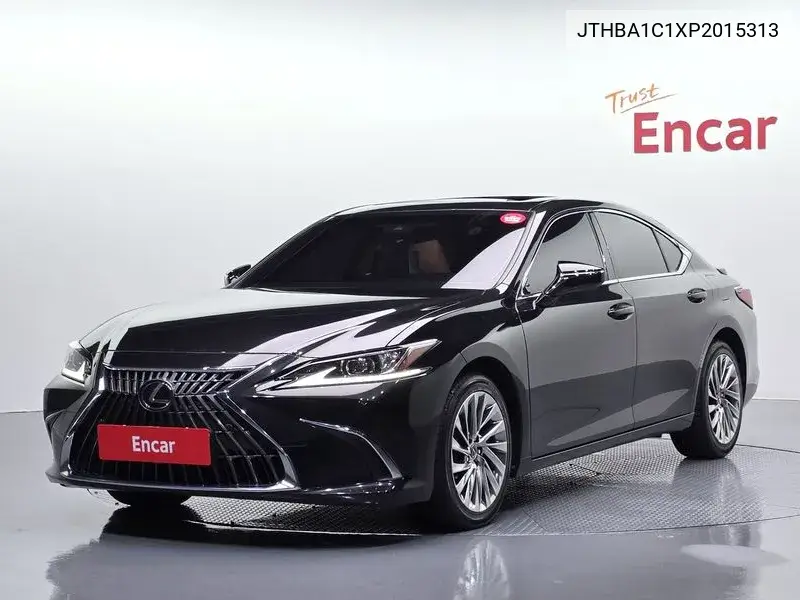 LEXUS N/A 2023, VIN JTHBA1C1XP2015313