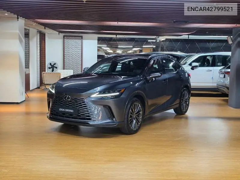 LEXUS N/A 2025, VIN N/A