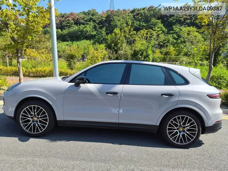 PORSCHE N/A 2020, VIN WP1AA29Y3LDA09387