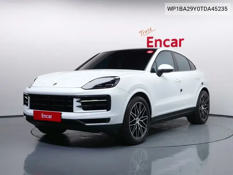 PORSCHE N/A 2025, VIN WP1BA29Y0TDA45235
