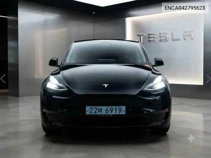 TESLA MODEL Y 2022, VIN N/A