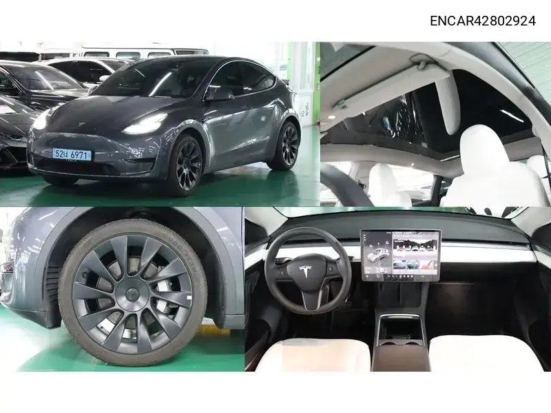 TESLA MODEL Y 2023, VIN N/A