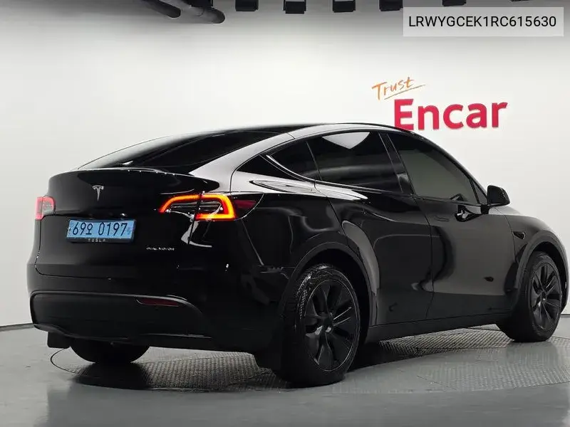 TESLA MODEL Y 2024, VIN LRWYGCEK1RC615630