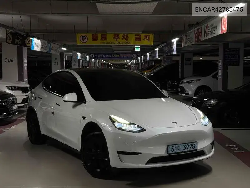 TESLA MODEL Y 2024, VIN N/A