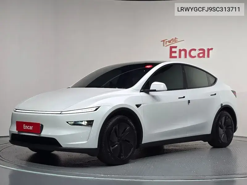 TESLA MODEL Y 2025, VIN LRWYGCFJ9SC313711