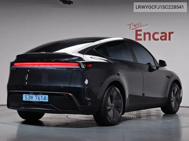 TESLA MODEL Y 2025, VIN LRWYGCFJ1SC228541