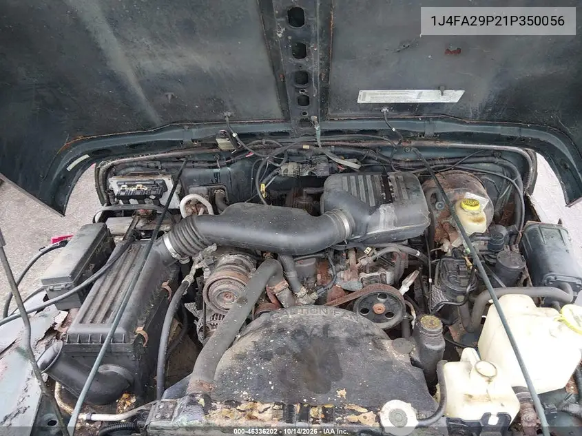 2001 JEEP WRANGLER VIN 1J4FA29P21P350056 — фото 10