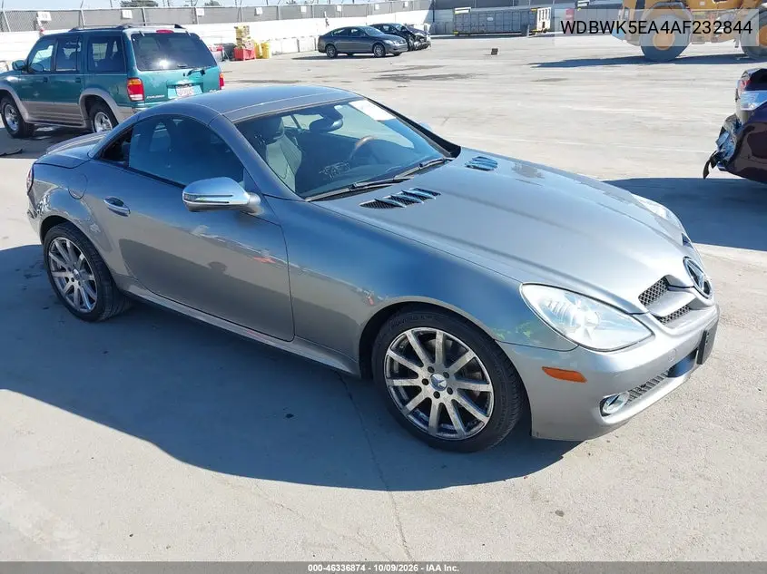 MERCEDES SLK-KLASSE 2010, VIN WDBWK5EA4AF232844