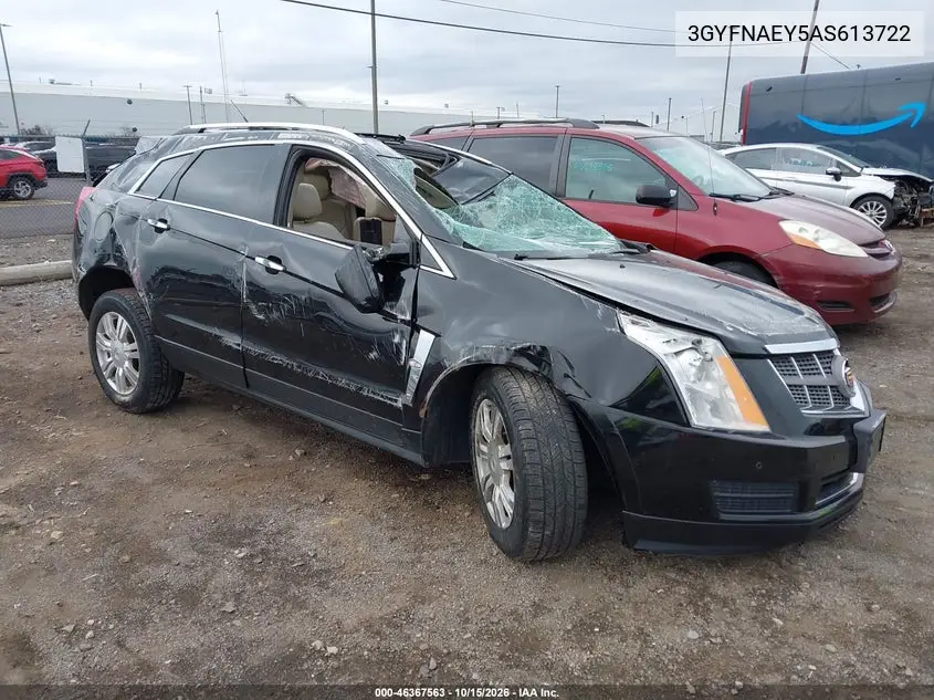 CADILLAC SRX 2010, VIN 3GYFNAEY5AS613722