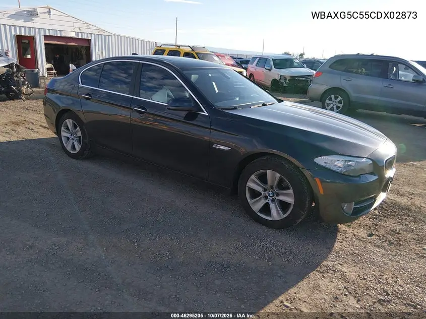 BMW 5ER 2012, VIN WBAXG5C55CDX02873