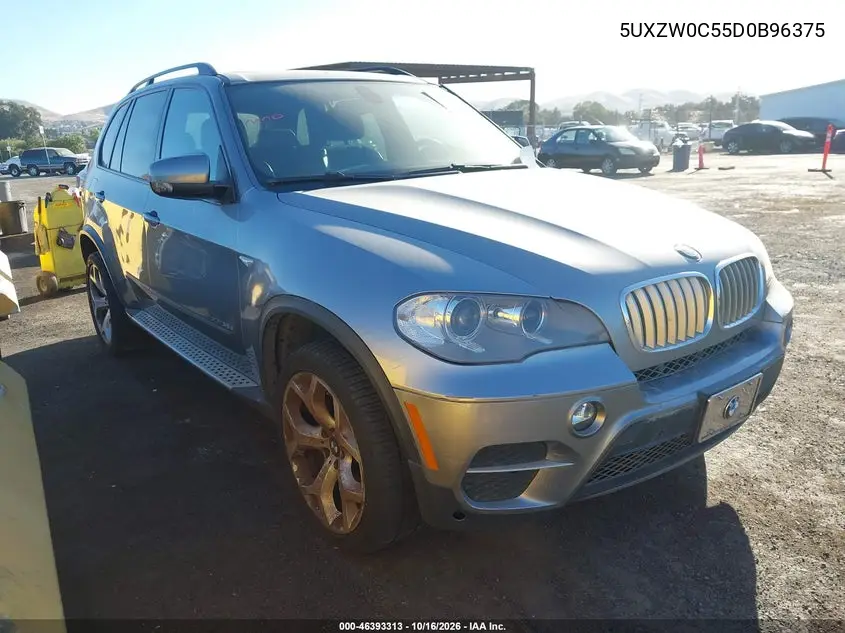BMW X5 2013, VIN 5UXZW0C55D0B96375