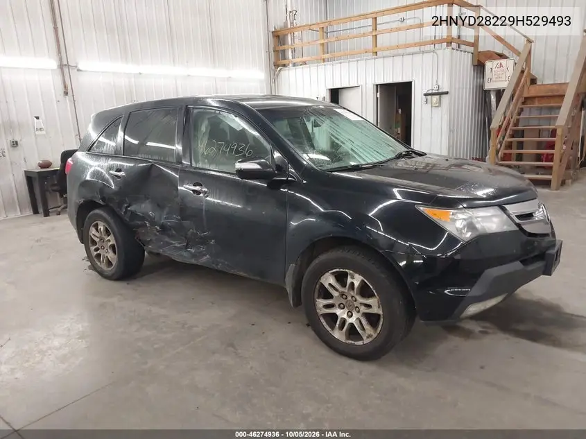 ACURA MDX 2009, VIN 2HNYD28229H529493