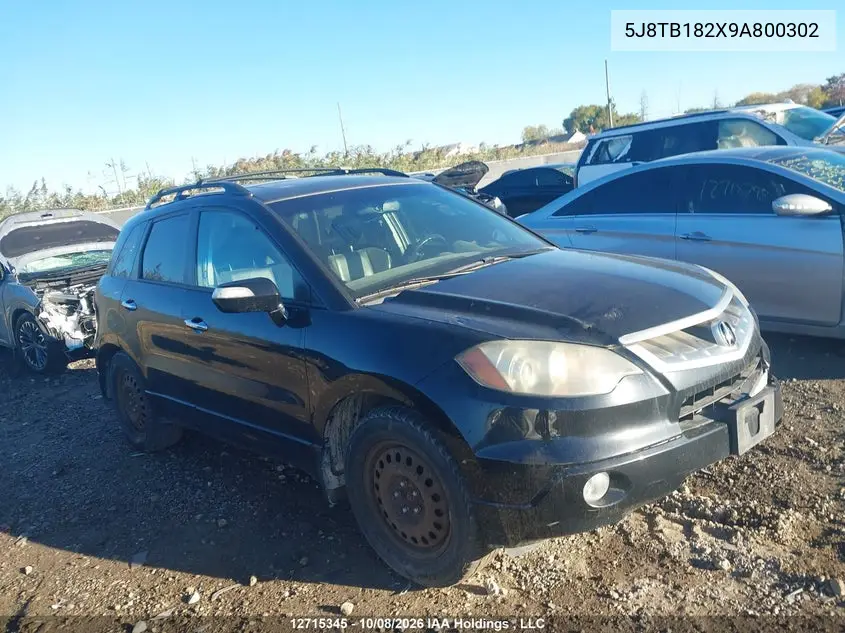 ACURA RDX 2009, VIN 5J8TB182X9A800302