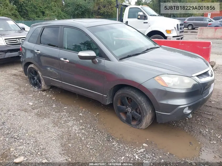 ACURA RDX 2009, VIN 5J8TB18229A001856