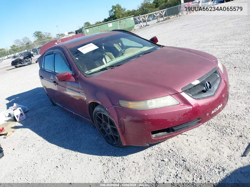 ACURA TL 2004, VIN 19UUA66234A065579