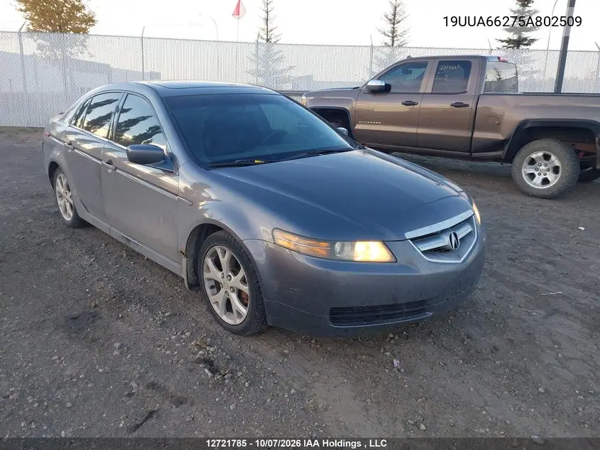 ACURA TL 2005, VIN 19UUA66275A802509