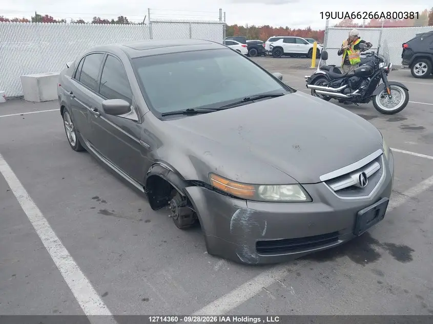 ACURA TL 2006, VIN 19UUA66266A800381