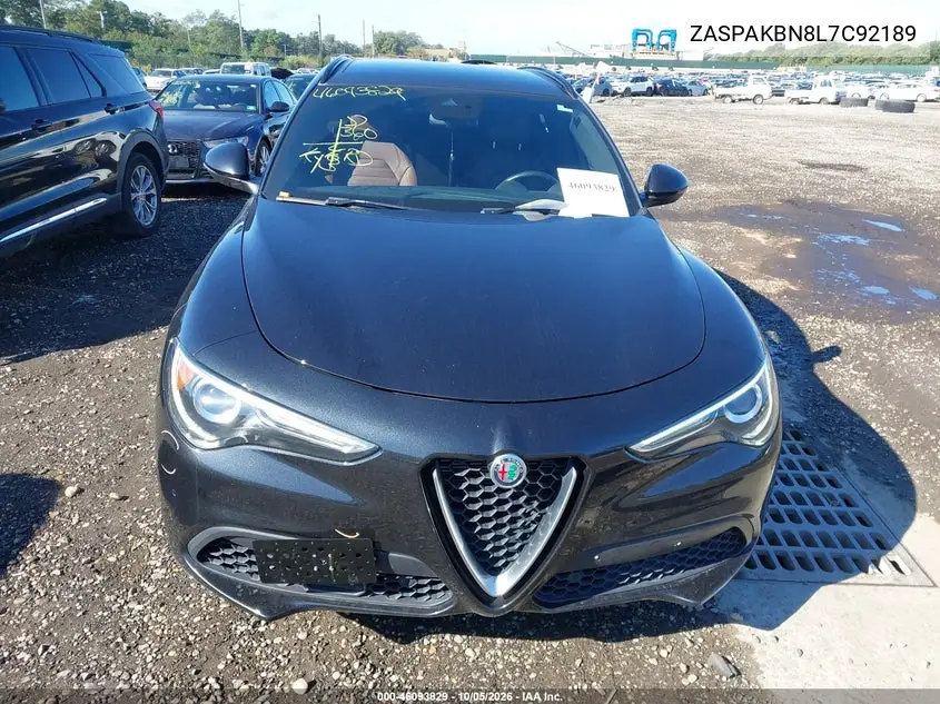 2020 ALFA ROMEO STELVIO VIN ZASPAKBN8L7C92189 — фото 12