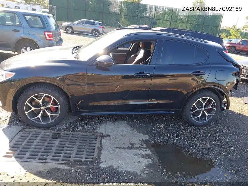 2020 ALFA ROMEO STELVIO VIN ZASPAKBN8L7C92189 — фото 14
