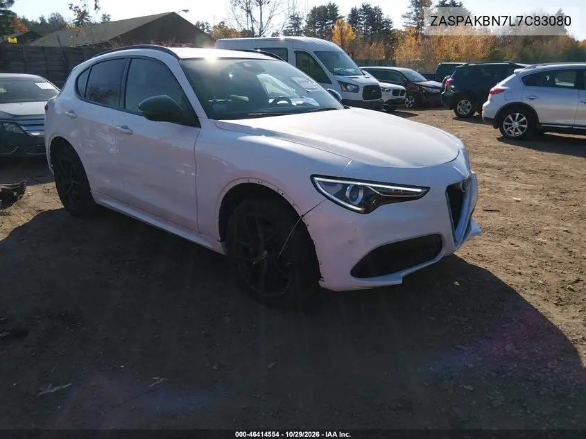 ALFA ROMEO STELVIO 2020, VIN ZASPAKBN7L7C83080