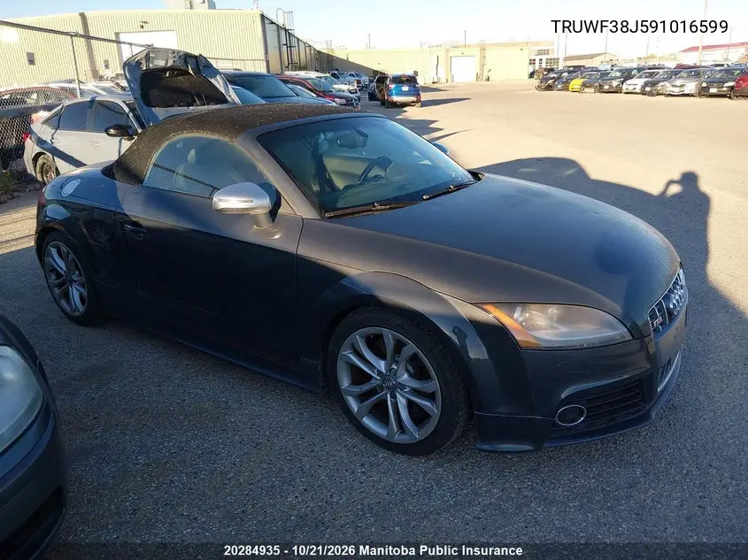 AUDI TTS 2009, VIN TRUWF38J591016599