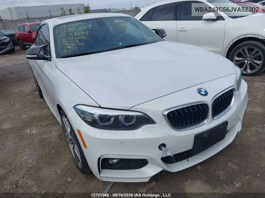 BMW 2ER 2018, VIN WBA2J3C56JVA52302