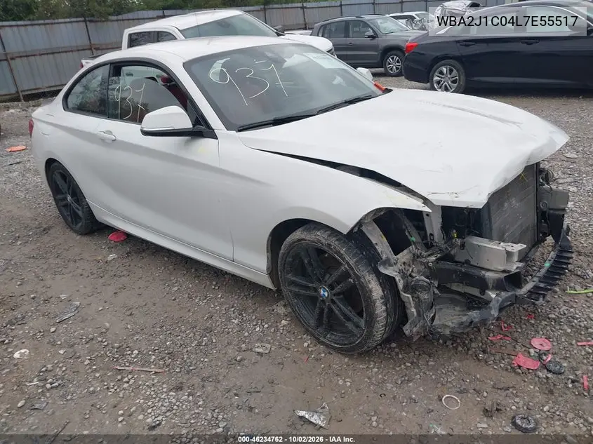 BMW 2ER 2020, VIN WBA2J1C04L7E55517