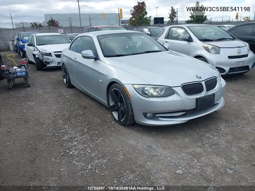 BMW 3ER 2011, VIN WBADW3C55BE541198