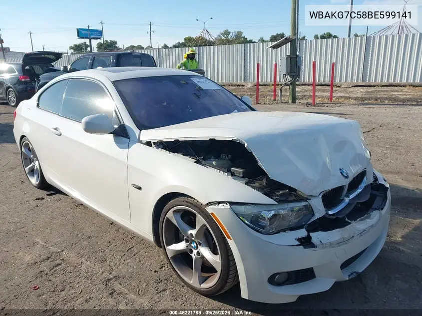 BMW 3ER 2011, VIN WBAKG7C58BE599141
