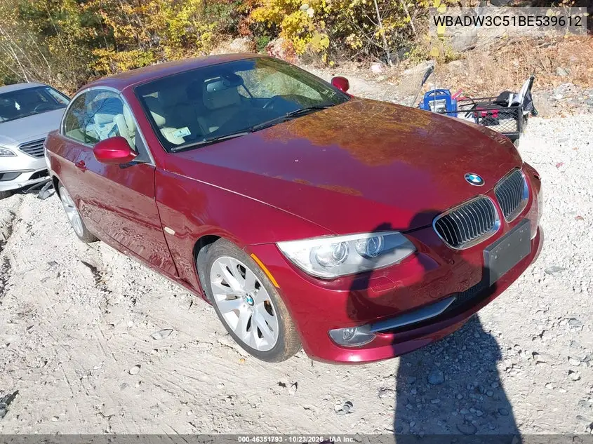 BMW 3ER 2011, VIN WBADW3C51BE539612